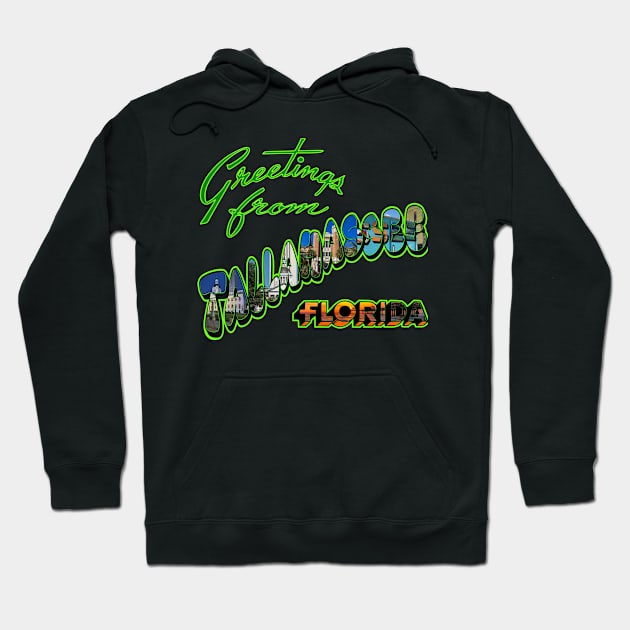 Tallahassee A Design that Captures, The Essence Of The Capital City Of Florida With a Rich History Hoodie by wisscreation